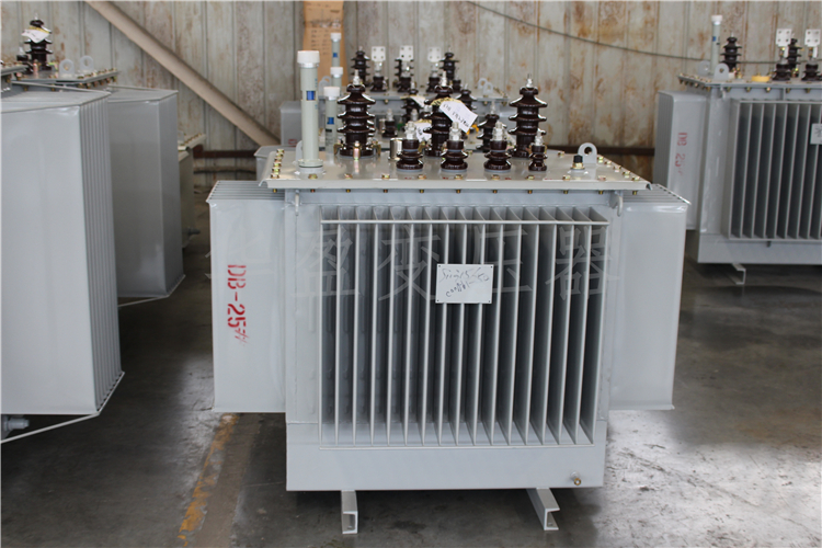 玉树S20-800kVA/10kV/0.4kV变压器